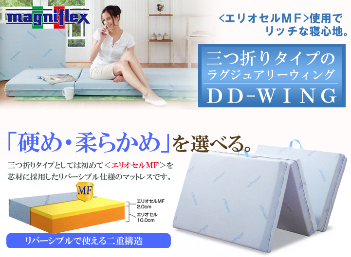 DDウィング