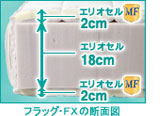 エリオセルとエリオセルMF断面図