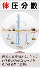 体圧分散