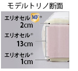 モデルトリノ断面