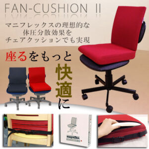 fancushion2