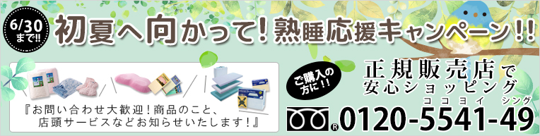 マニフレックス2月キャンペーン
